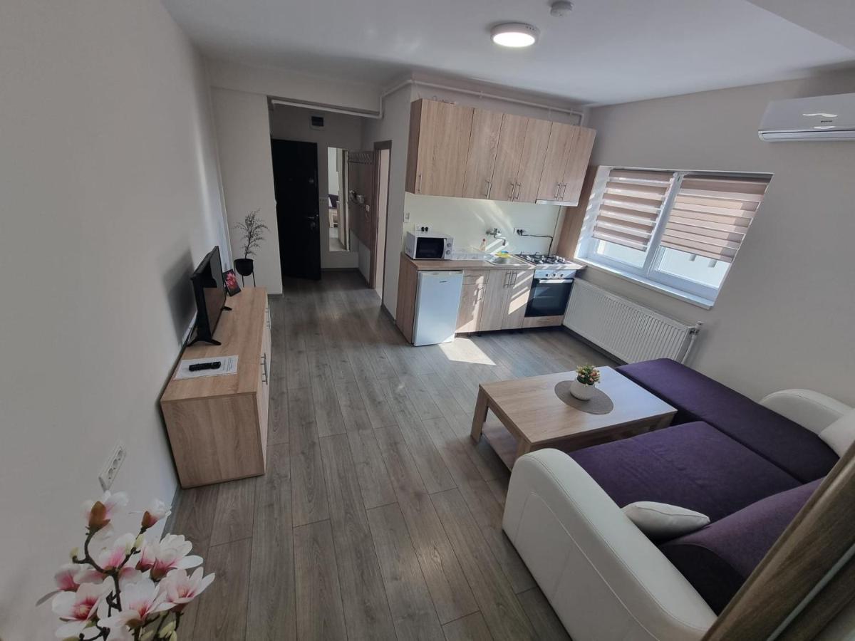 City Premium Apartments Timisoara Ngoại thất bức ảnh